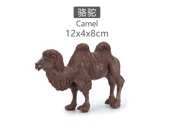 5寸骆驼