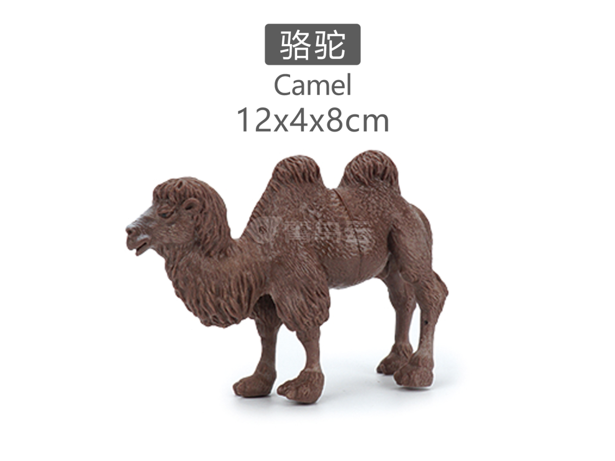 5寸骆驼