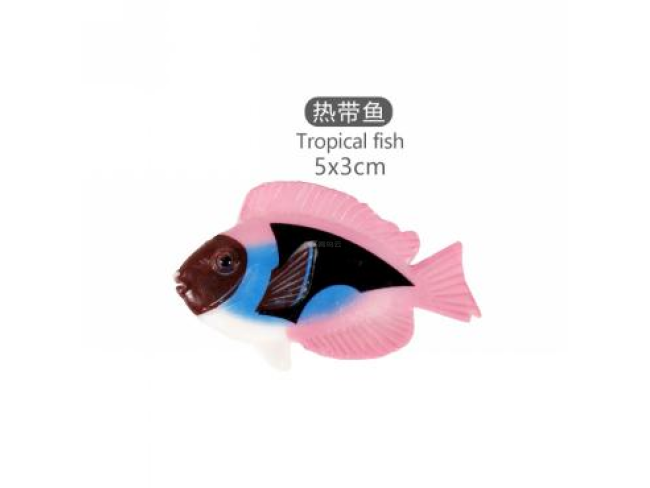 2寸热带鱼9