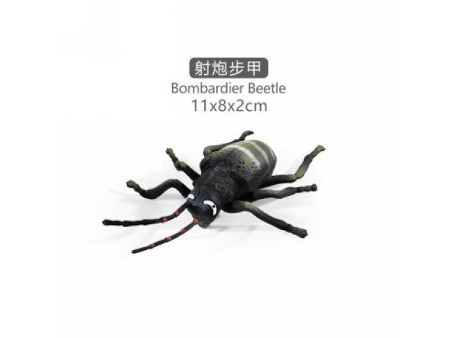 4寸天牛