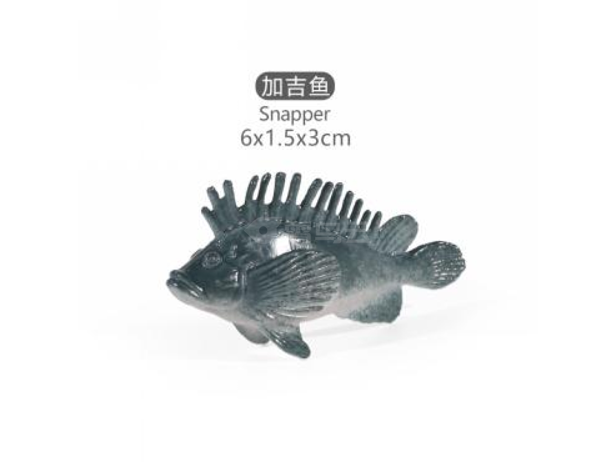 2寸加吉鱼