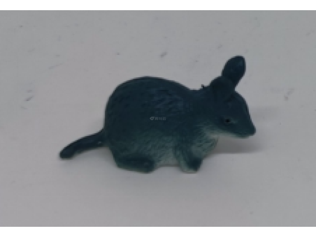 2寸小野兔