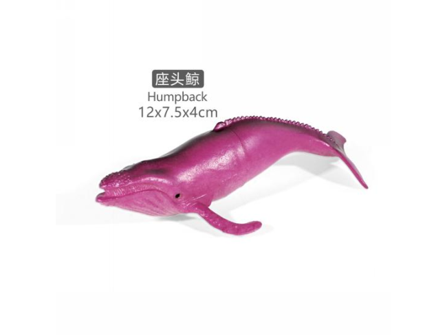 5寸蓝鲸