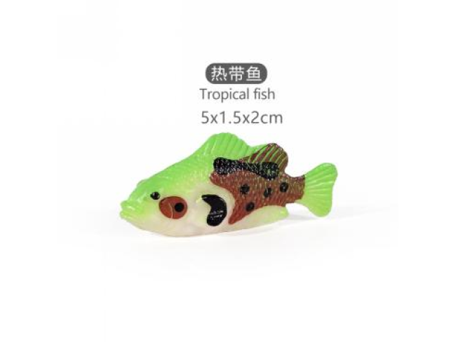 2寸热带鱼5