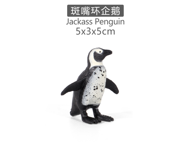 实心彩绘斑嘴环企鹅