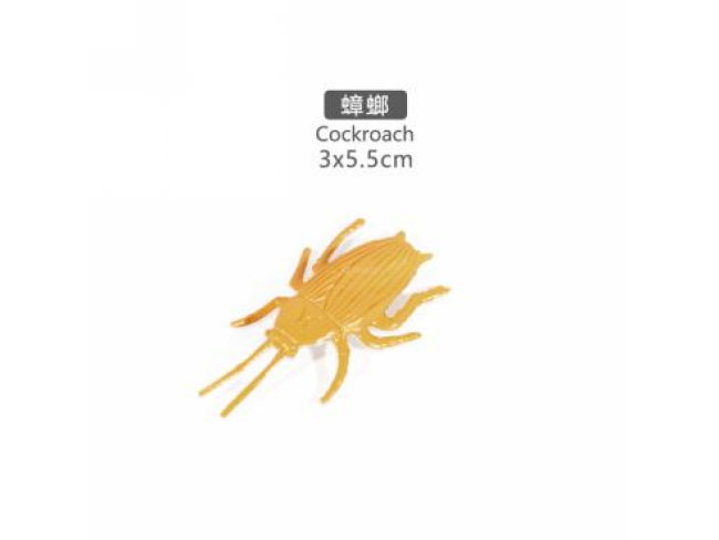 2寸蟑螂