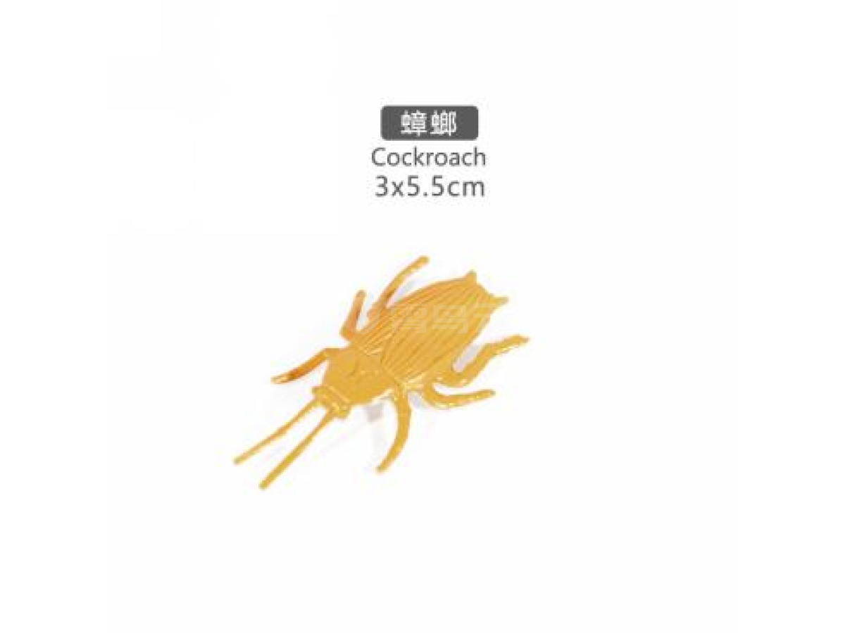 2寸蟑螂