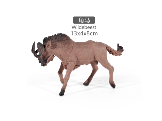 5寸角马