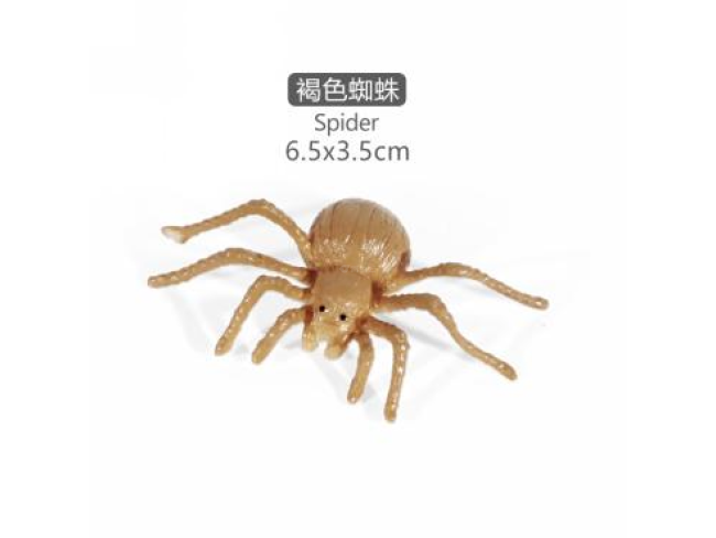 2寸迷你蜘蛛9