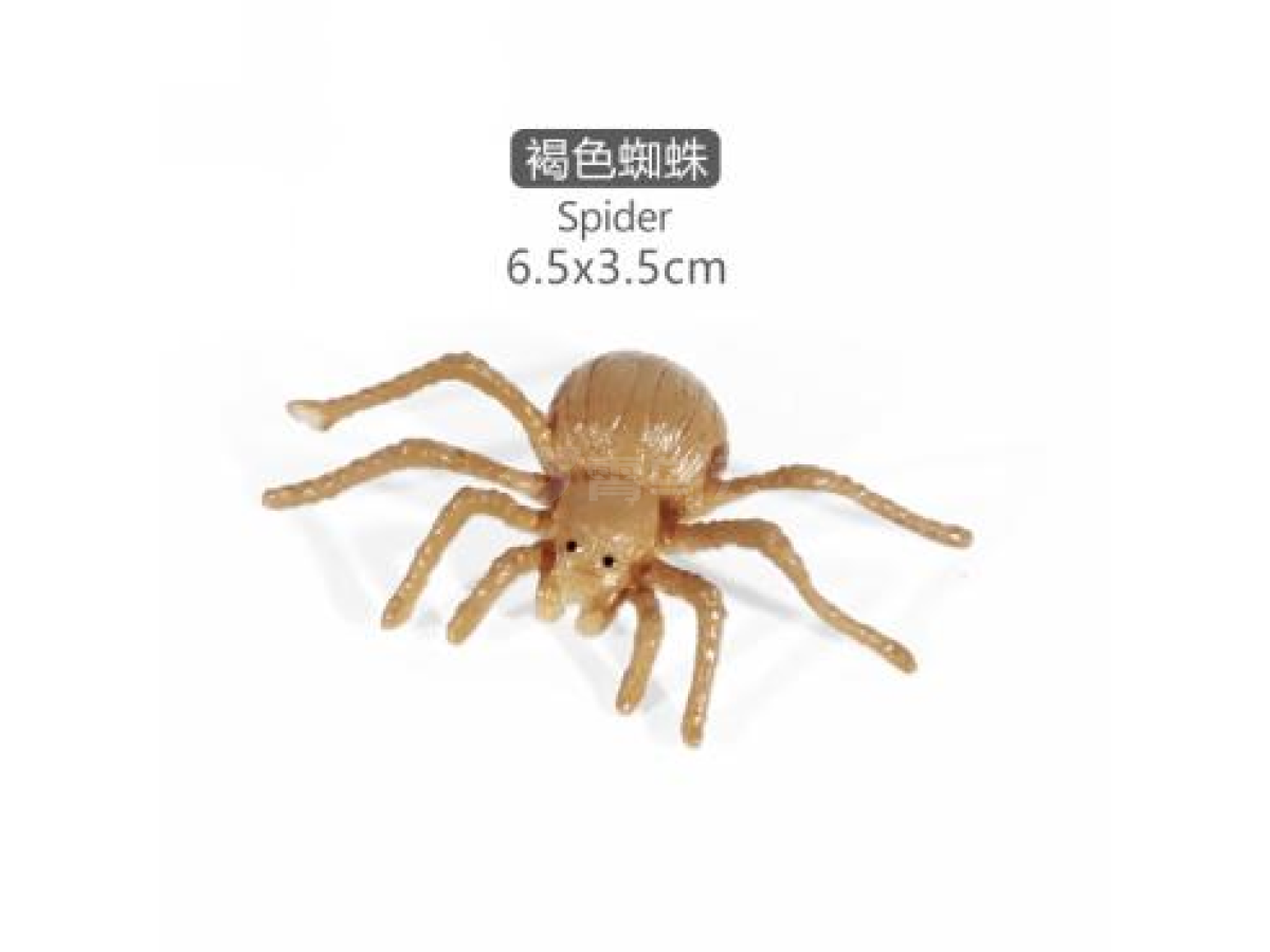 2寸迷你蜘蛛9