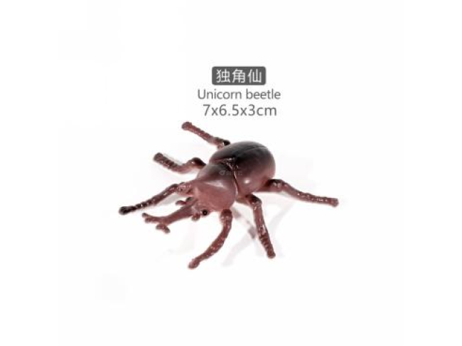 4寸屎壳郎