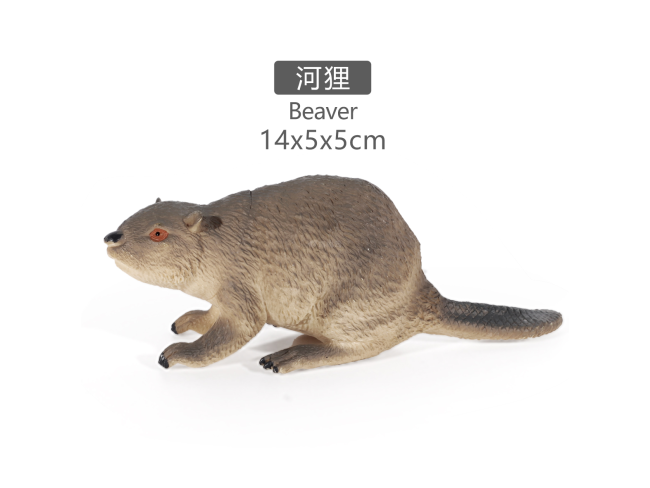 5寸彩绘河狸