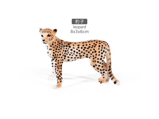 3寸猎豹