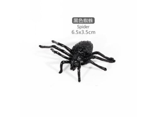 2寸迷你蜘蛛5