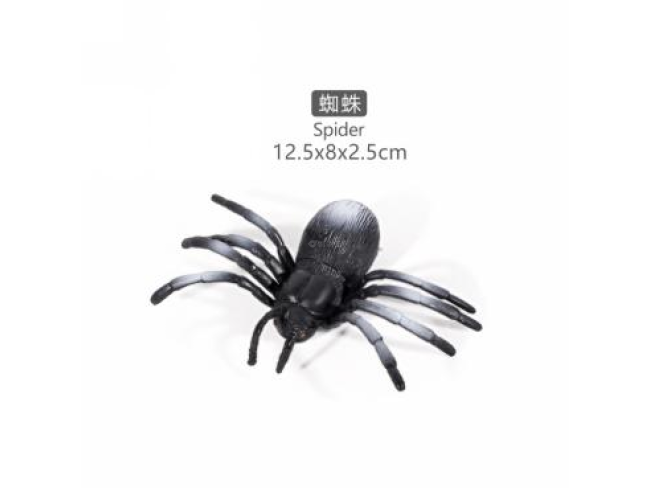 4寸蜘蛛1