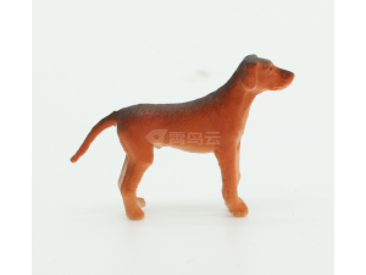 2寸狗12