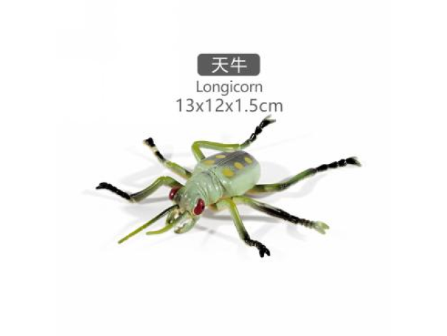 4寸炮弹甲虫
