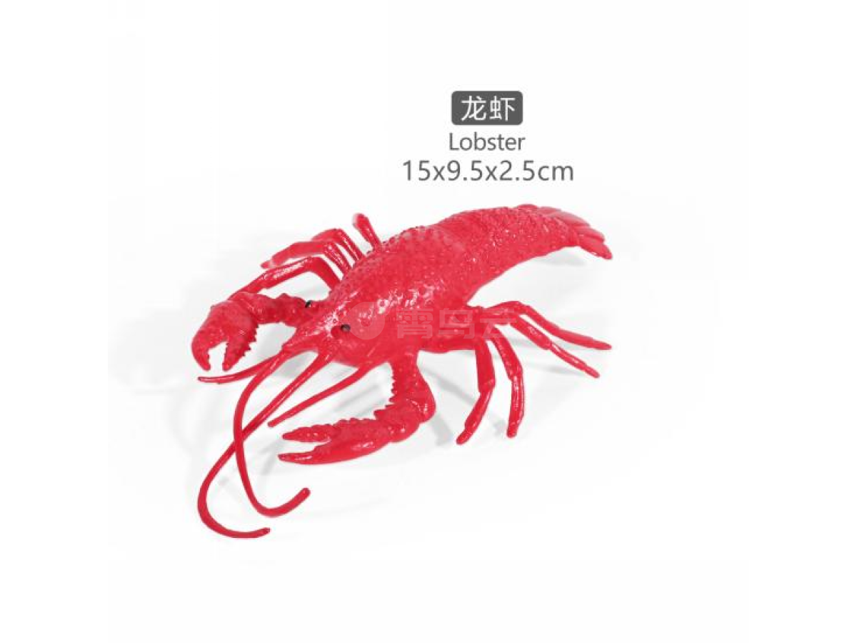 5寸龙虾