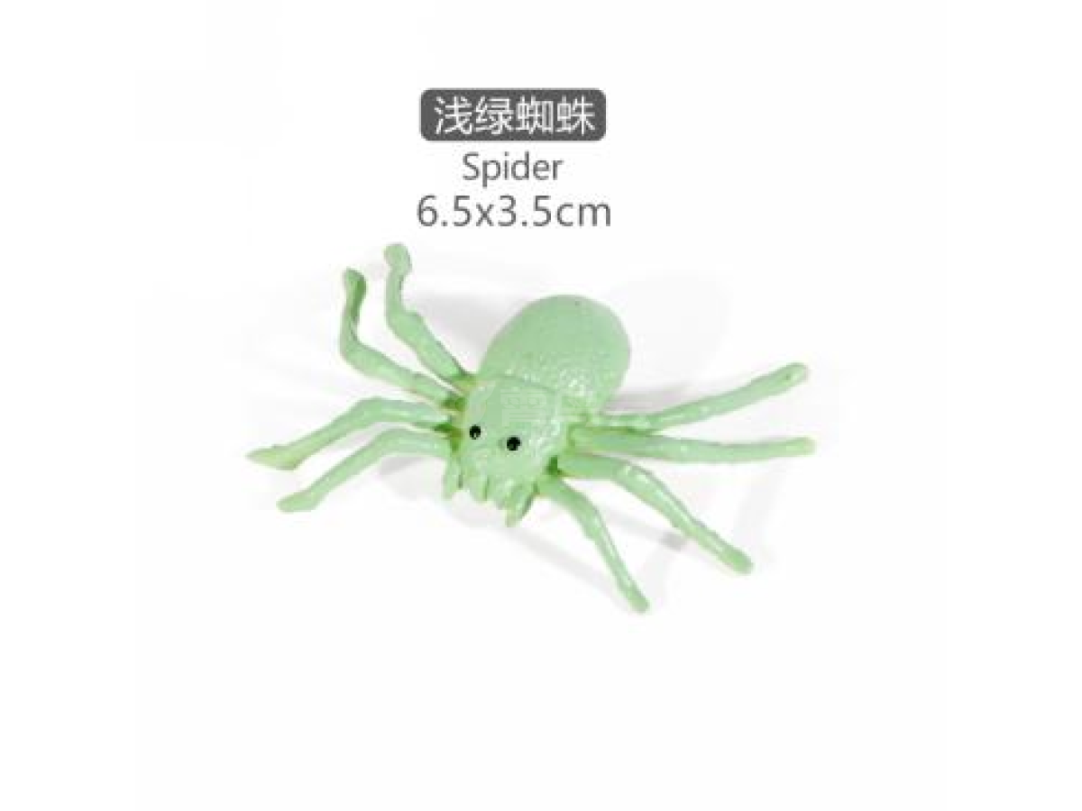 2寸迷你蜘蛛4