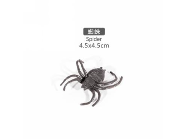 2寸蜘蛛