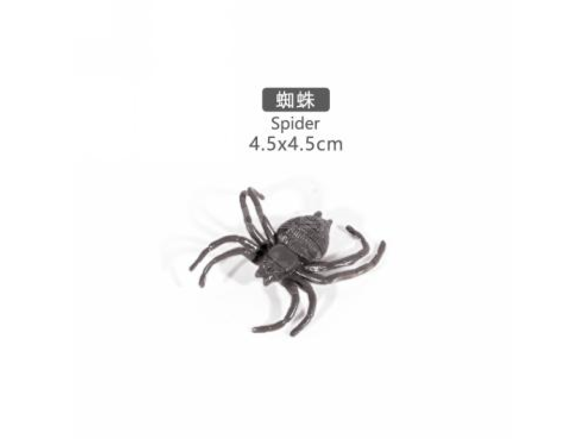 2寸蜘蛛