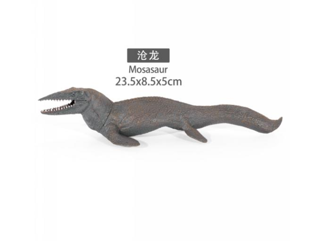 9寸苍龙