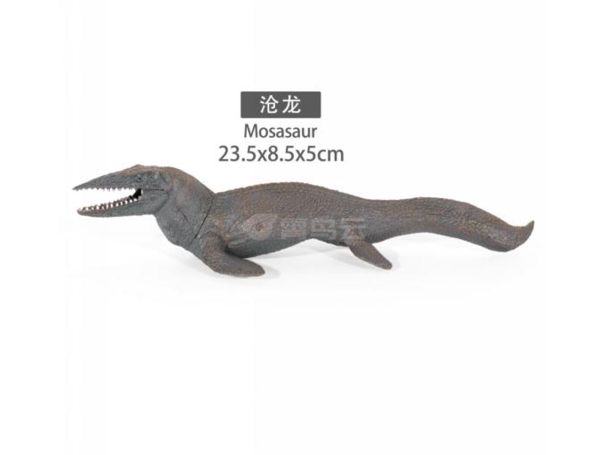 9寸苍龙