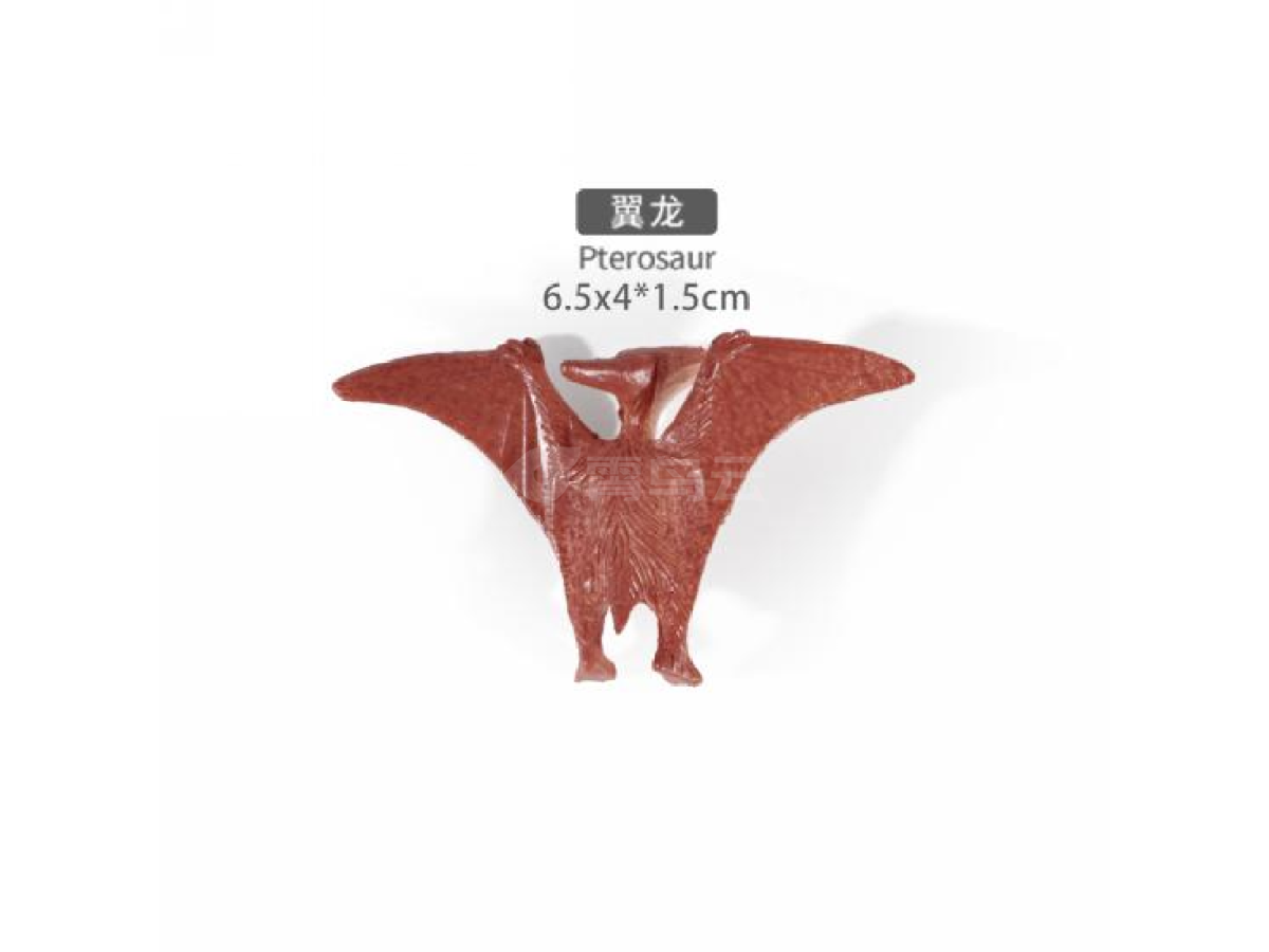 2寸翼龙