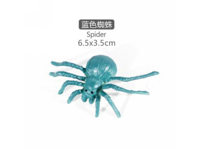 2寸迷你蜘蛛10