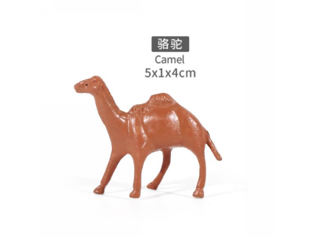 2寸骆驼