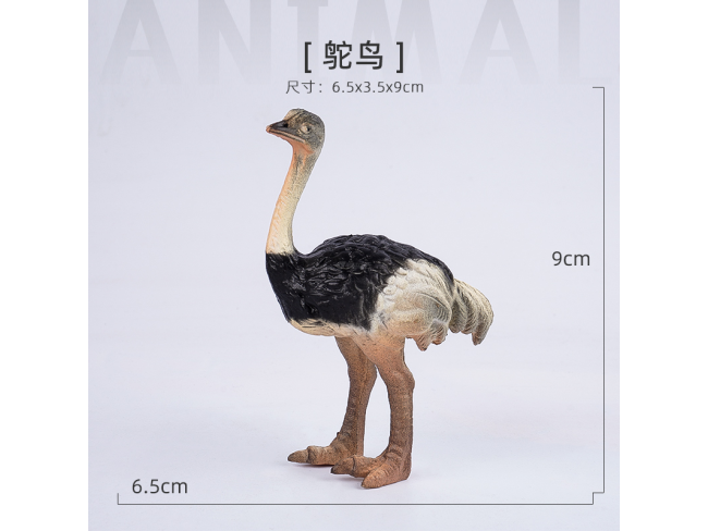 4寸实心彩绘鸵鸟