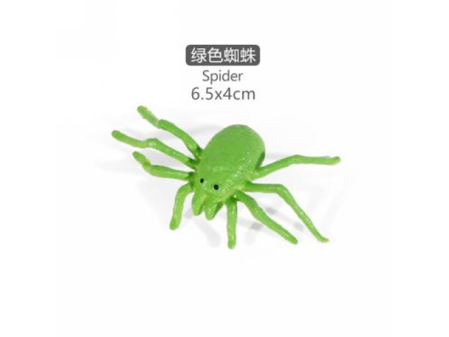 2寸迷你蜘蛛7