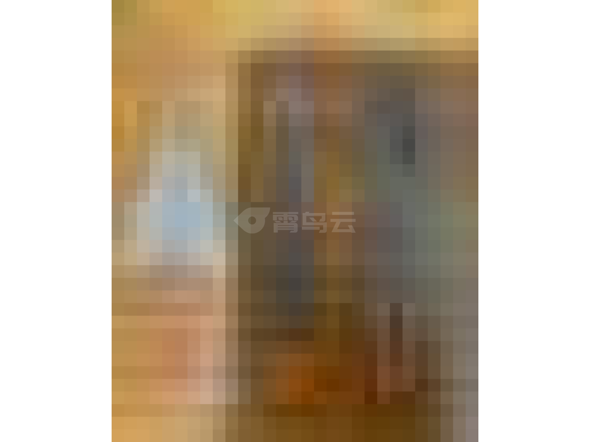 昆虫翅膀