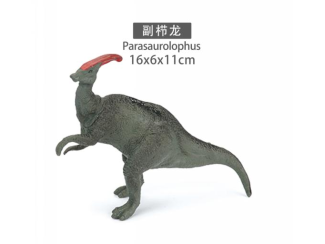 6寸副栉龙