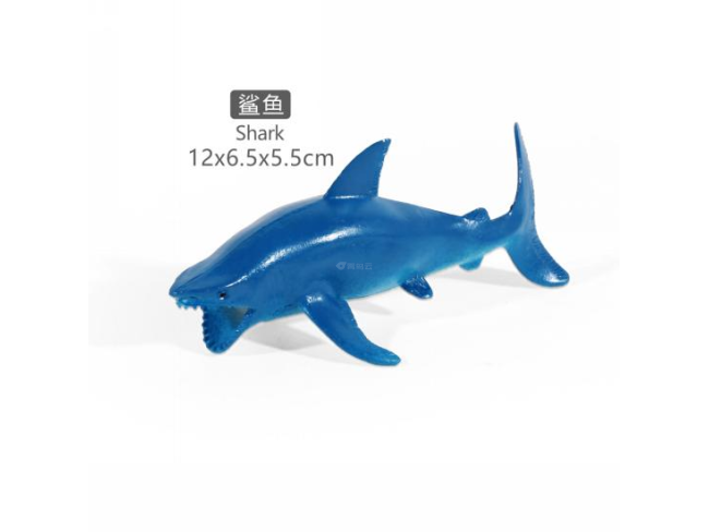 5寸大白鲨