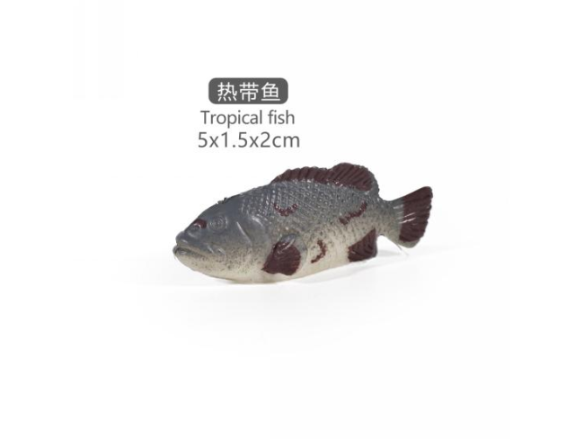2寸热带鱼3