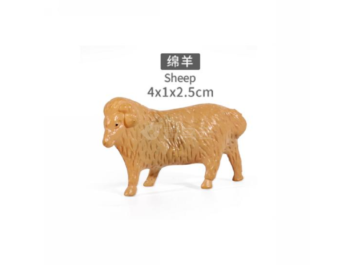 2寸绵羊