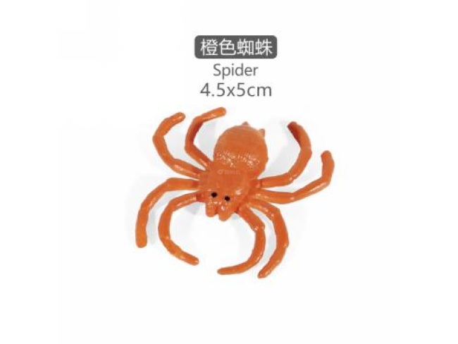 2寸迷你蜘蛛11