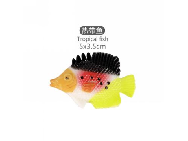 2寸热带鱼4
