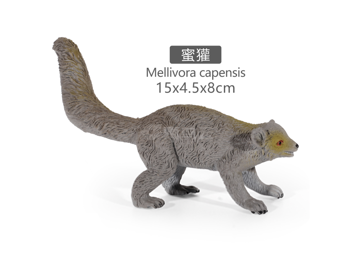 5寸彩绘蜜獾