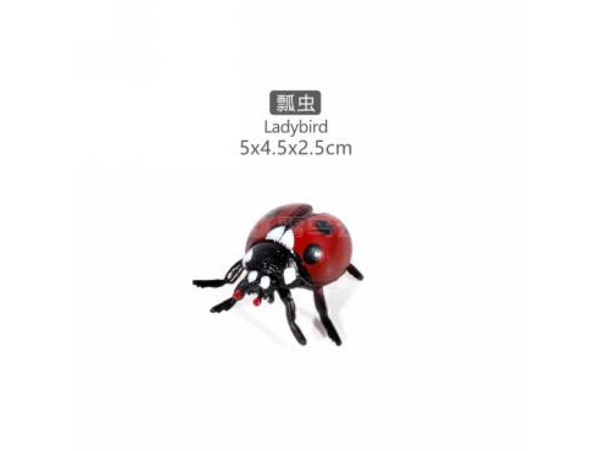 4寸瓢虫