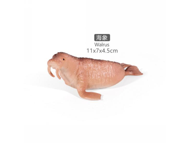 5寸海象