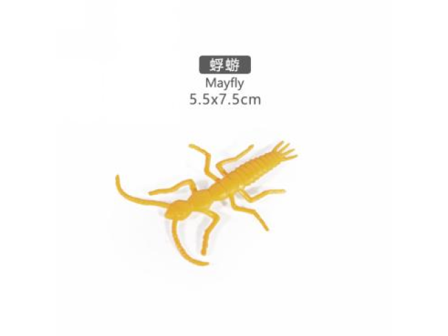 2寸蜉蝣