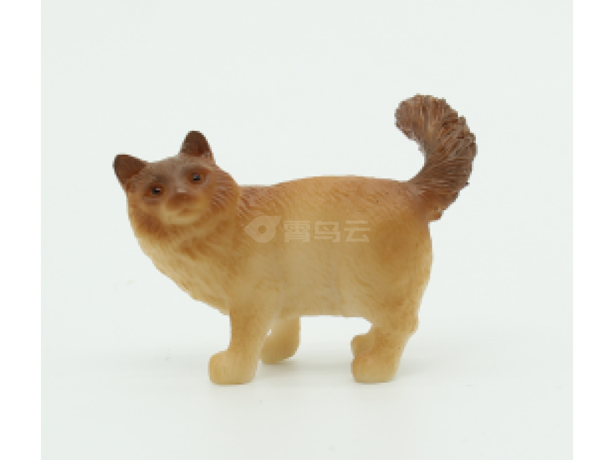 2寸猫01