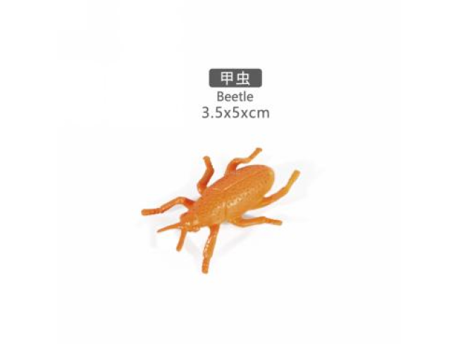2寸甲虫