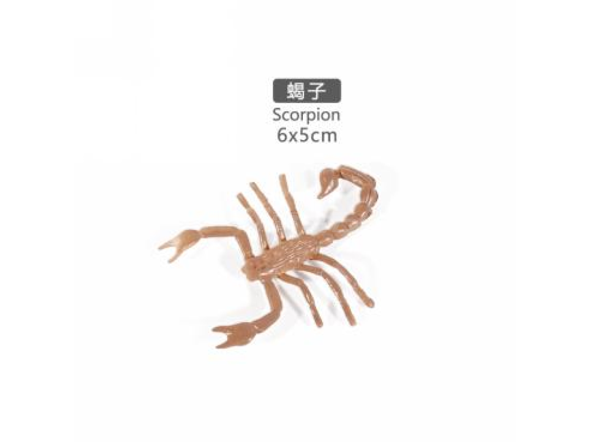 2寸蝎子