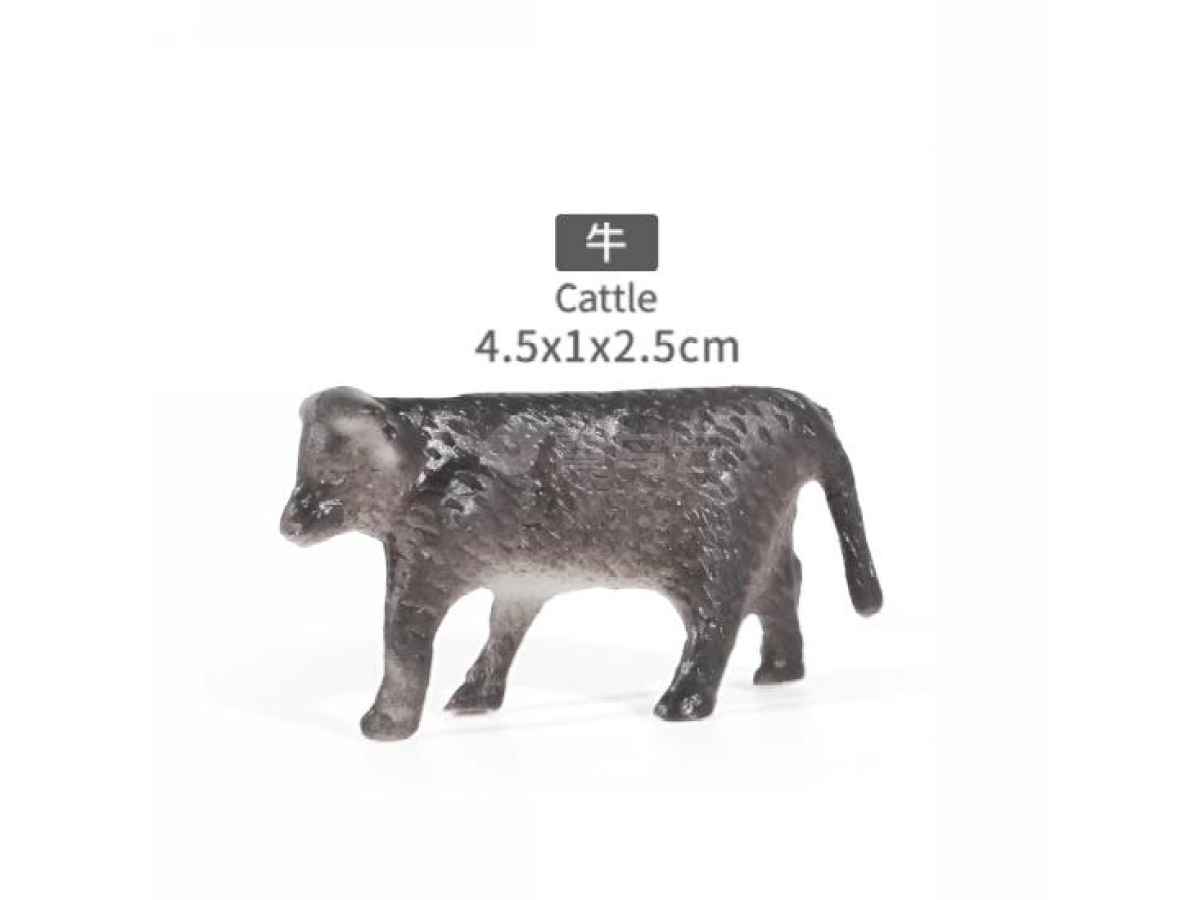 2寸水牛