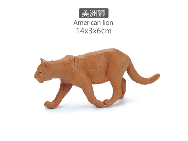 5寸美洲狮
