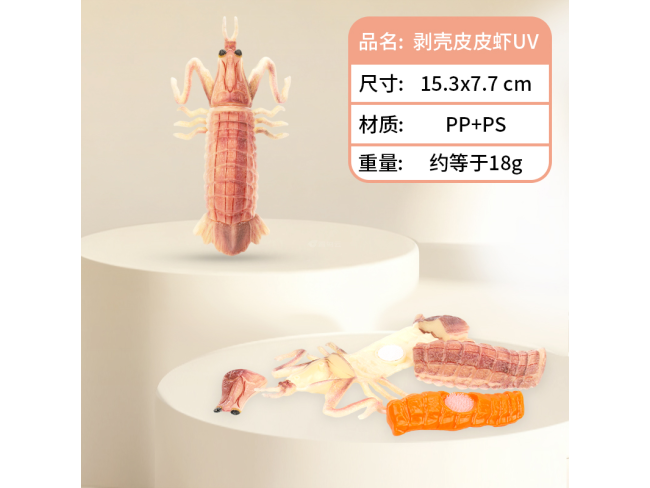 剥壳皮皮虾UV
