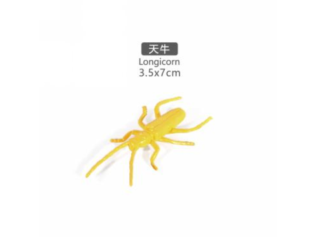 2寸天牛